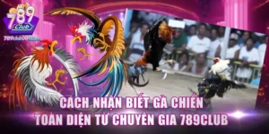 Cách nhận biết gà chiến